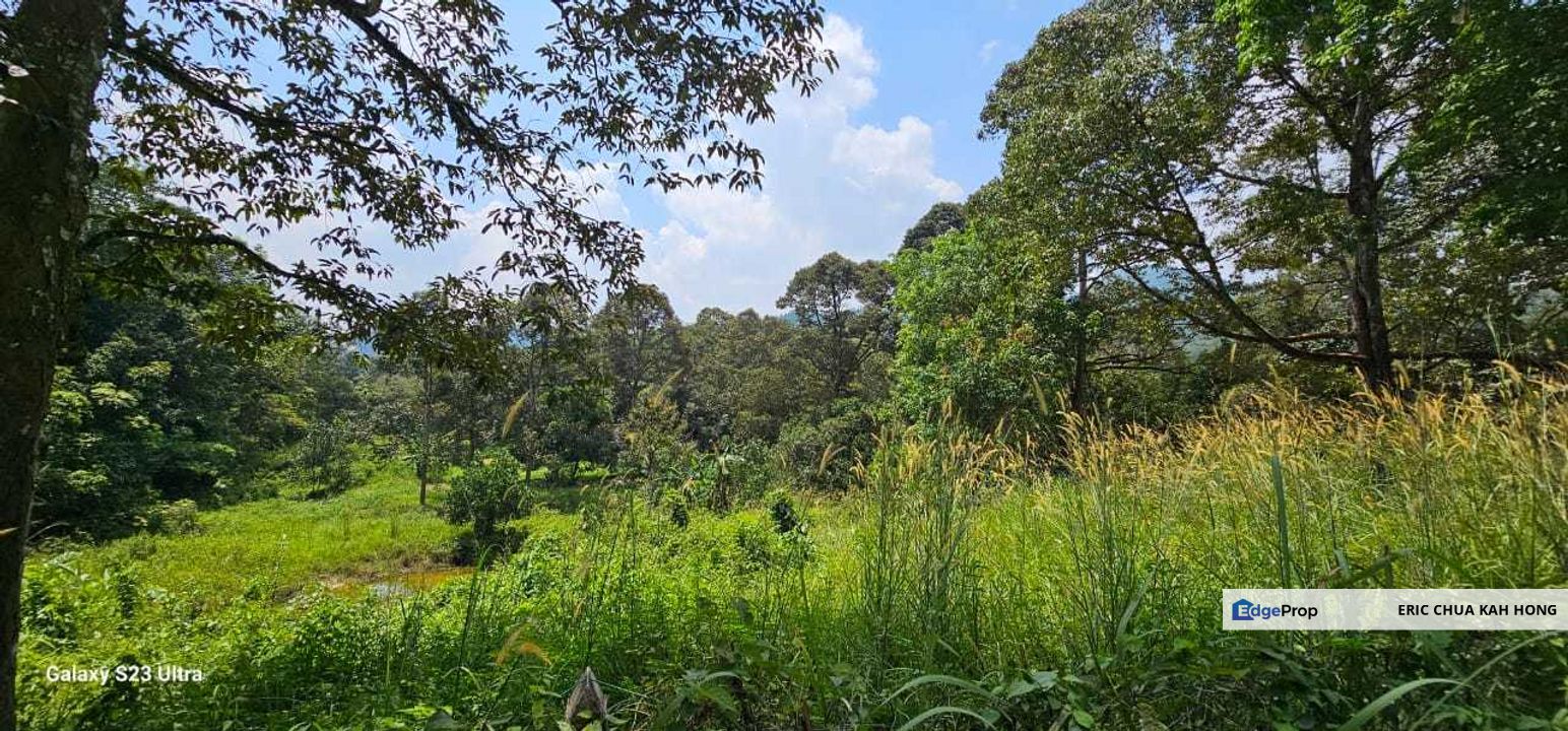 2.046 acres Durian Orchard at Simpang Pulai, Perak, Perak, Ipoh