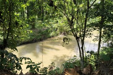 5.200086 acres Palm oil land at Chenderiang, Tapah Perak