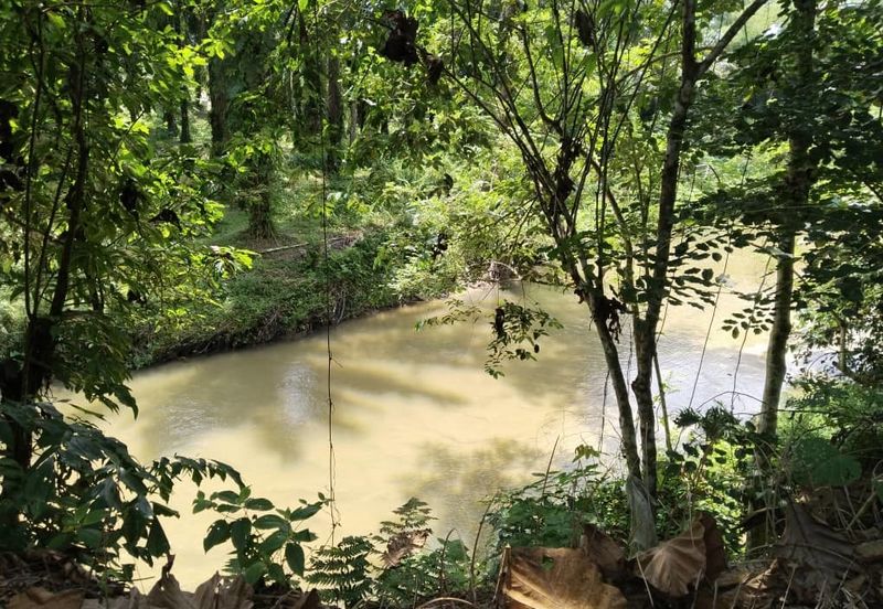 5.200086 acres Palm oil land at Chenderiang, Tapah Perak