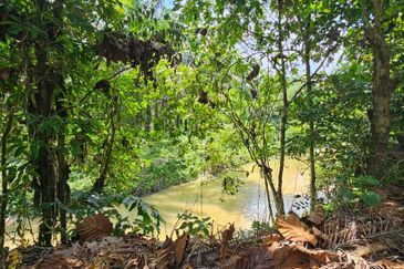 5.200086 acres Palm oil land at Chenderiang, Tapah Perak