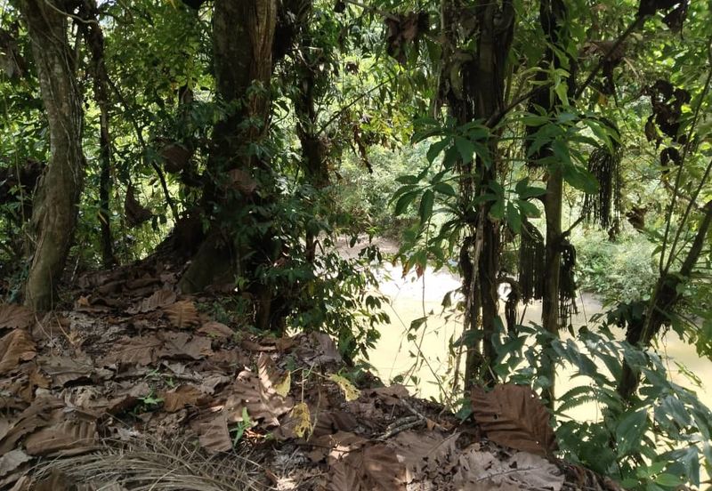 5.200086 acres Palm oil land at Chenderiang, Tapah Perak