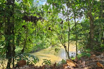 5.200086 acres Palm oil land at Chenderiang, Tapah Perak