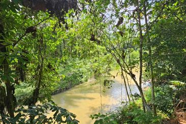 5.200086 acres Palm oil land at Chenderiang, Tapah Perak