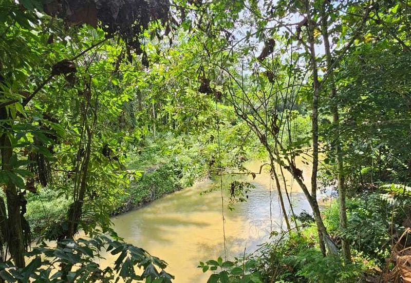 5.200086 acres Palm oil land at Chenderiang, Tapah Perak