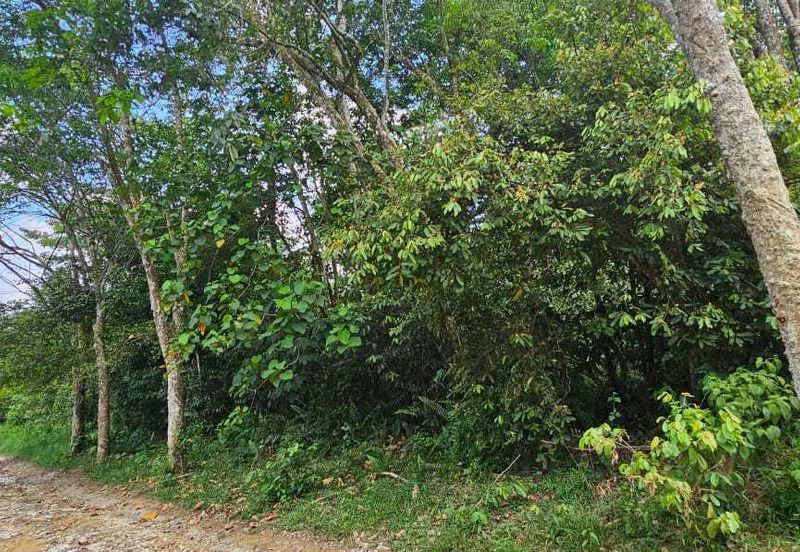 3.1604 acres Rubber Estate at Kg Timah, Tanjung Tualang Perak