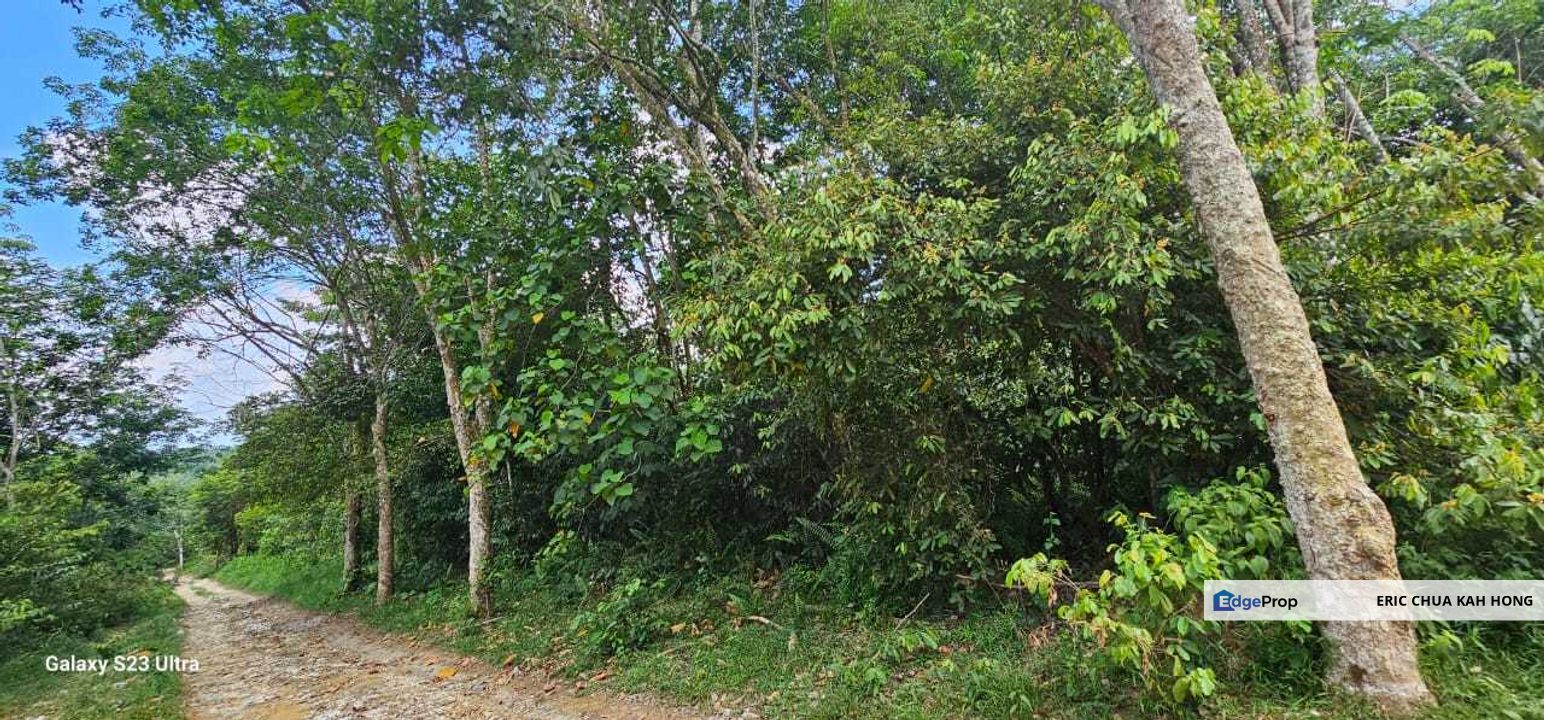 3.1604 acres Rubber Estate at Kg Timah, Tanjung Tualang Perak, Perak, Tanjong Tualang