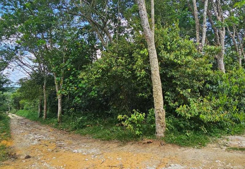 3.1604 acres Rubber Estate at Kg Timah, Tanjung Tualang Perak