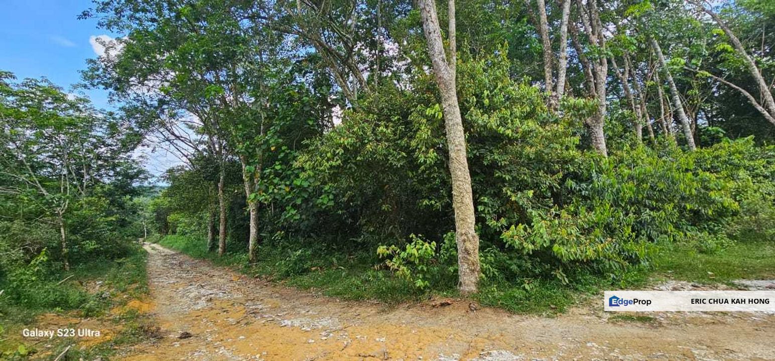 3.1604 acres Rubber Estate at Kg Timah, Tanjung Tualang Perak, Perak, Tanjong Tualang