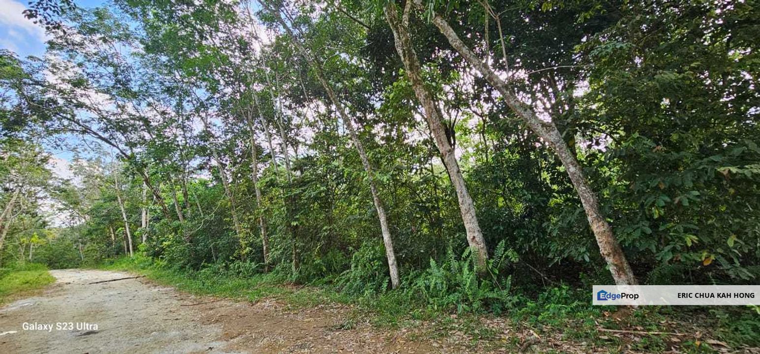 3.1604 acres Rubber Estate at Kg Timah, Tanjung Tualang Perak, Perak, Tanjong Tualang