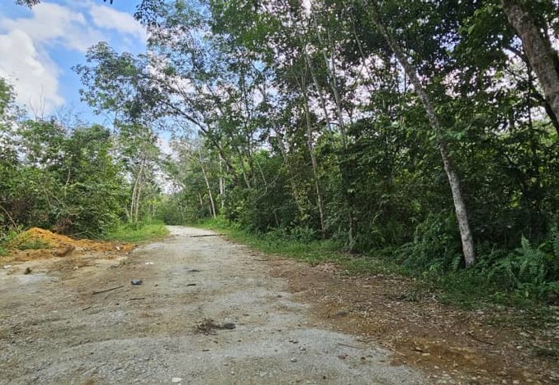 3.1604 acres Rubber Estate at Kg Timah, Tanjung Tualang Perak