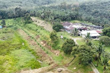 17.82004 acres First Lot Orchard at Jalan Temoh, Temoh Perak