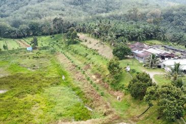 17.82004 acres First Lot Orchard at Jalan Temoh, Temoh Perak