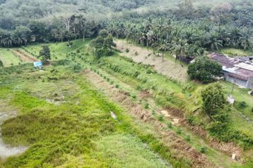 17.82004 acres First Lot Orchard at Jalan Temoh, Temoh Perak