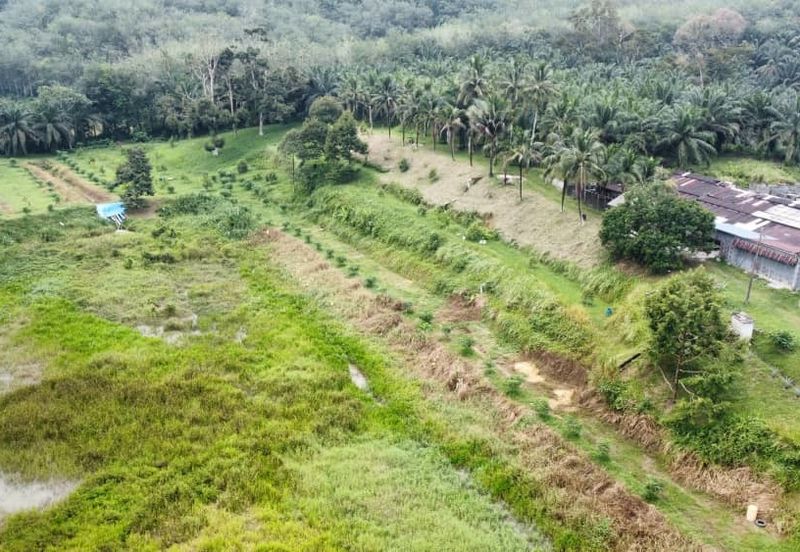 17.82004 acres First Lot Orchard at Jalan Temoh, Temoh Perak