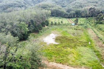 17.82004 acres First Lot Orchard at Jalan Temoh, Temoh Perak