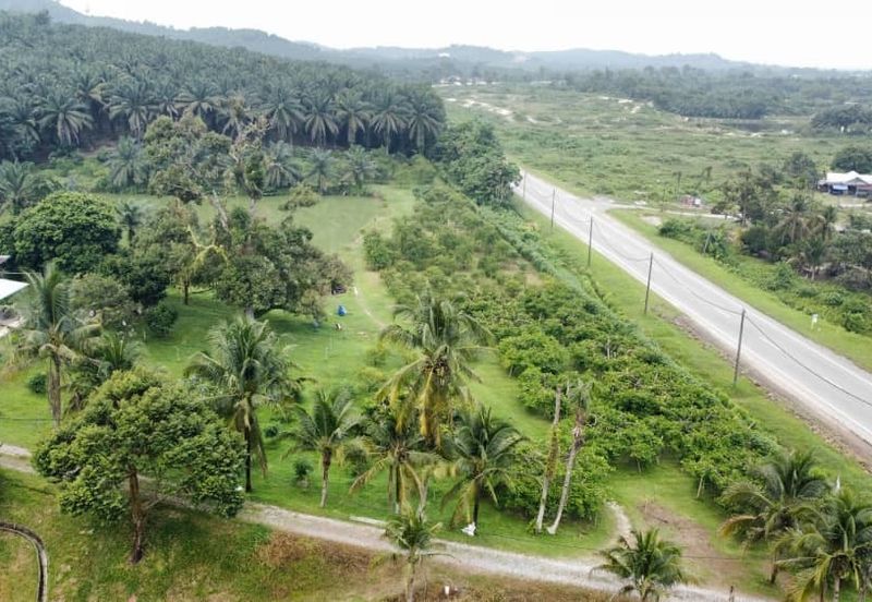 17.82004 acres First Lot Orchard at Jalan Temoh, Temoh Perak