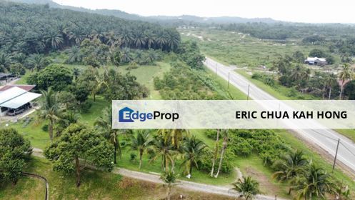 17.82004 acres First Lot Orchard at Jalan Temoh, Temoh Perak, Perak, Tapah