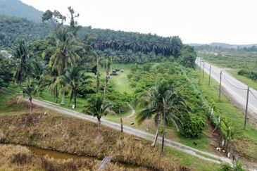 17.82004 acres First Lot Orchard at Jalan Temoh, Temoh Perak
