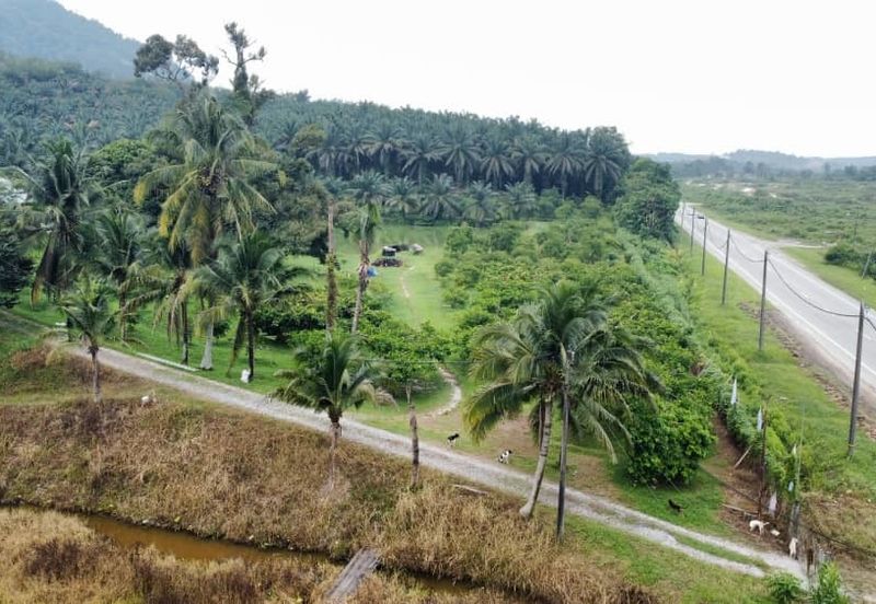17.82004 acres First Lot Orchard at Jalan Temoh, Temoh Perak