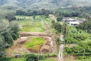 17.82004 acres First Lot Orchard at Jalan Temoh, Temoh Perak