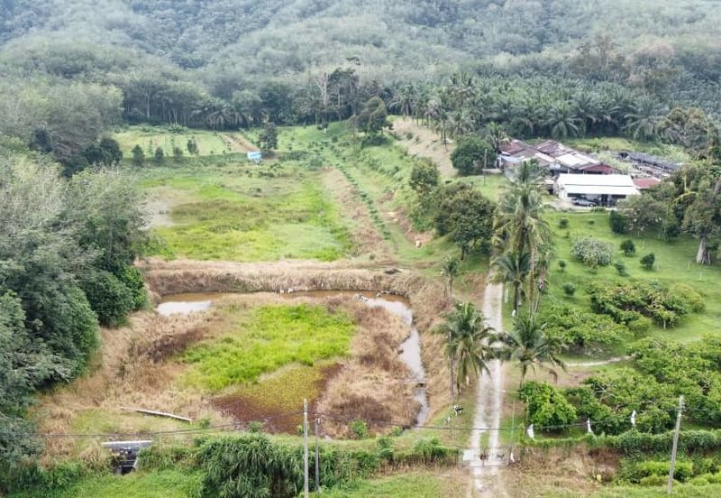 17.82004 acres First Lot Orchard at Jalan Temoh, Temoh Perak