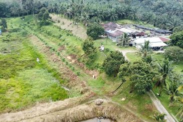 17.82004 acres First Lot Orchard at Jalan Temoh, Temoh Perak