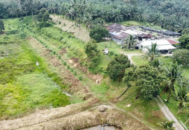 17.82004 acres First Lot Orchard at Jalan Temoh, Temoh Perak