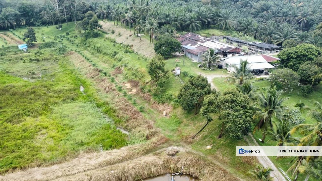 17.82004 acres First Lot Orchard at Jalan Temoh, Temoh Perak, Perak, Tapah