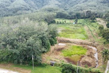 17.82004 acres First Lot Orchard at Jalan Temoh, Temoh Perak