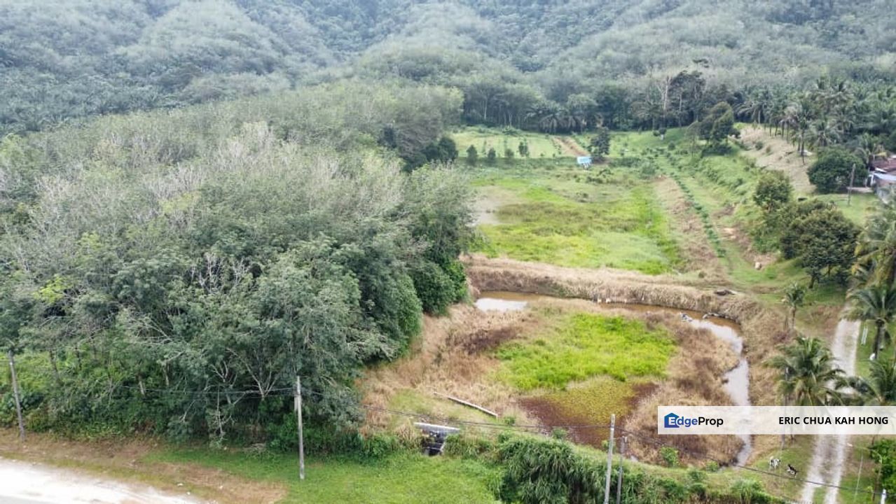 17.82004 acres First Lot Orchard at Jalan Temoh, Temoh Perak, Perak, Tapah