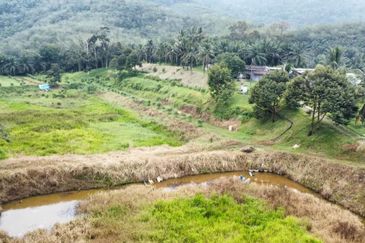 17.82004 acres First Lot Orchard at Jalan Temoh, Temoh Perak