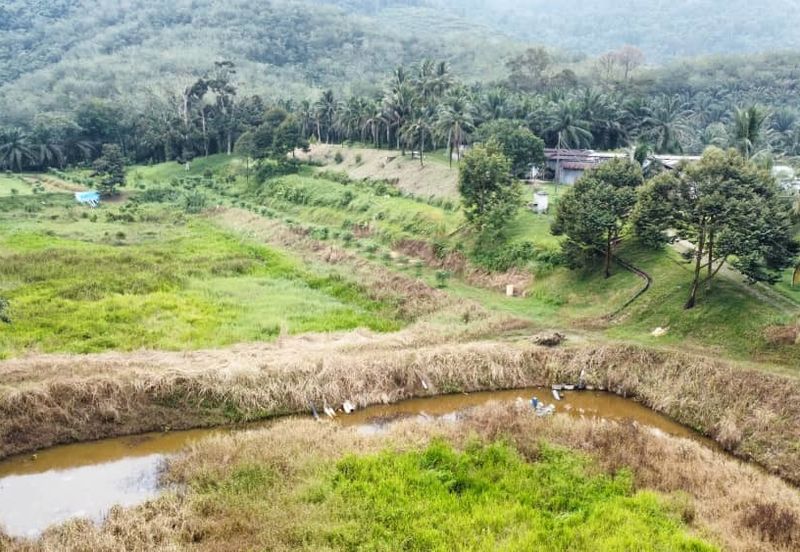 17.82004 acres First Lot Orchard at Jalan Temoh, Temoh Perak