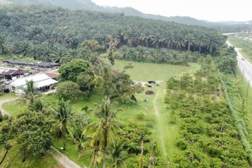 17.82004 acres First Lot Orchard at Jalan Temoh, Temoh Perak
