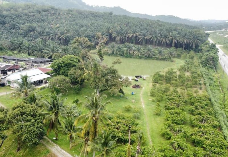 17.82004 acres First Lot Orchard at Jalan Temoh, Temoh Perak
