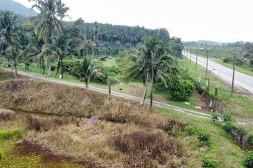 17.82004 acres First Lot Orchard at Jalan Temoh, Temoh Perak