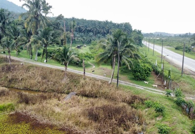 17.82004 acres First Lot Orchard at Jalan Temoh, Temoh Perak