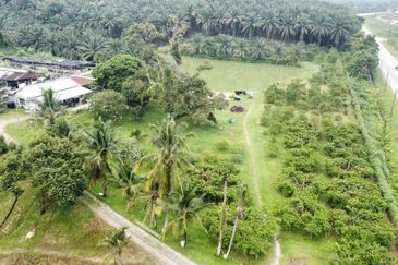 17.82004 acres First Lot Orchard at Jalan Temoh, Temoh Perak