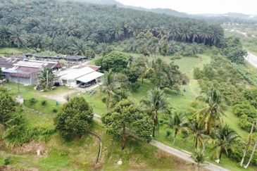 17.82004 acres First Lot Orchard at Jalan Temoh, Temoh Perak