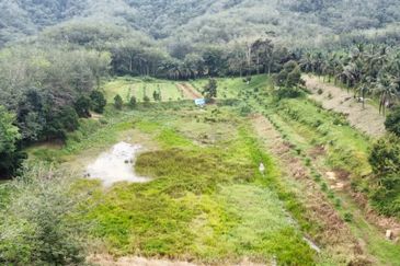 17.82004 acres First Lot Orchard at Jalan Temoh, Temoh Perak