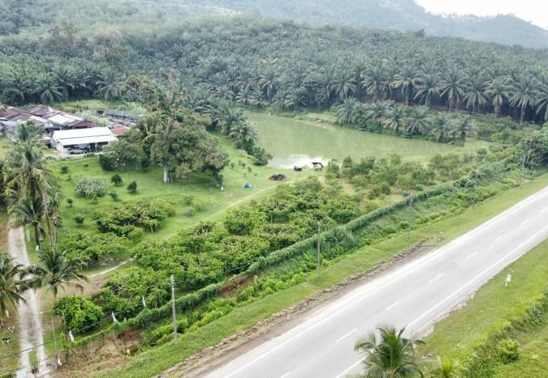 17.82004 acres First Lot Orchard at Jalan Temoh, Temoh Perak