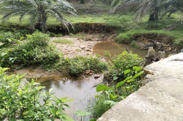9.43 abandoned rubber estate at Batu Gajah ,Perak