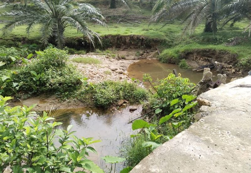 9.43 abandoned rubber estate at Batu Gajah ,Perak