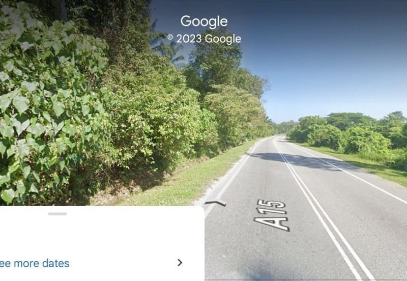 73.4111 acres First Lot Palm oil land at Batu Gajah, Perak