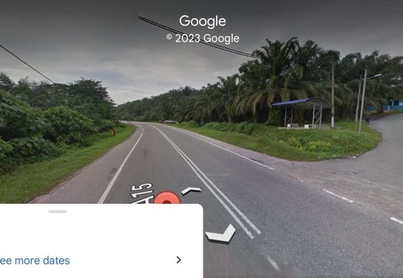 73.4111 acres First Lot Palm oil land at Batu Gajah, Perak