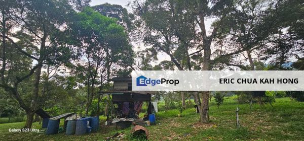 1.969 acres Durian farm at Chenderiang, Tapah Perak, Perak, Tapah