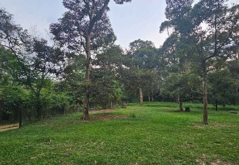 1.969 acres Durian farm at Chenderiang, Tapah Perak