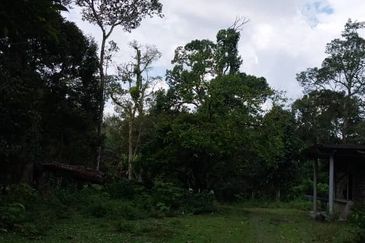 24 acres agricultural land at Tapah,Perak