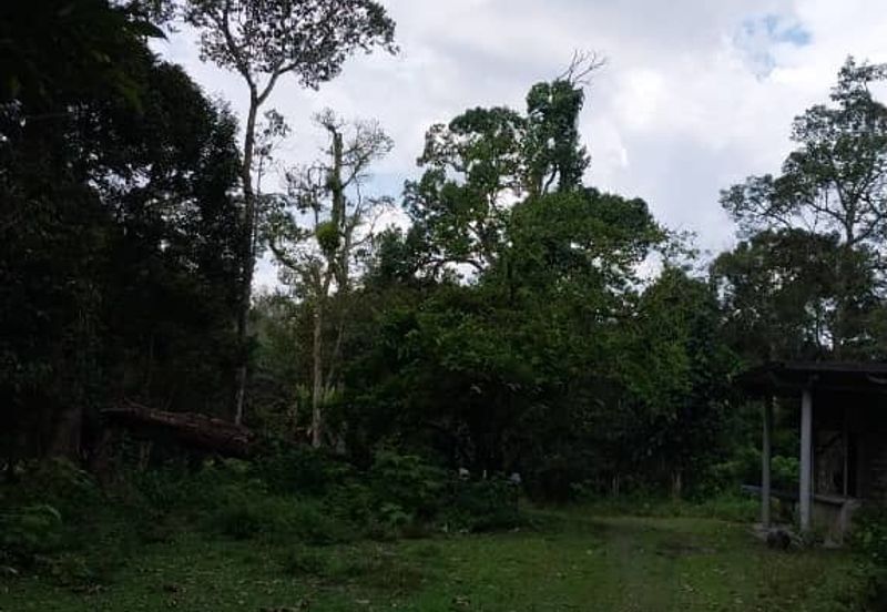 24 acres agricultural land at Tapah,Perak