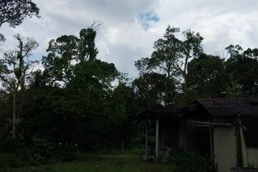 24 acres agricultural land at Tapah,Perak