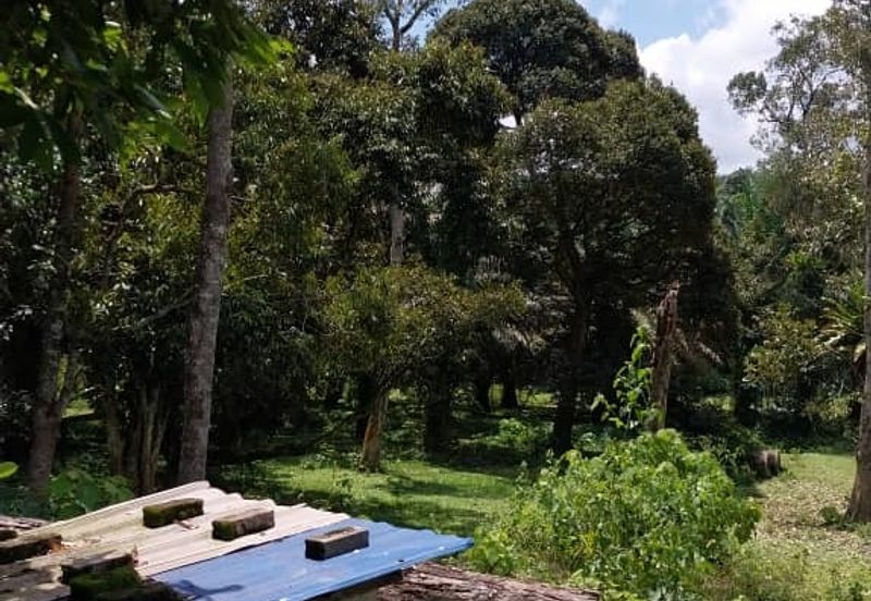 24 acres agricultural land at Tapah,Perak